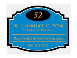 Palatine Chiropractor Dr Pyzik