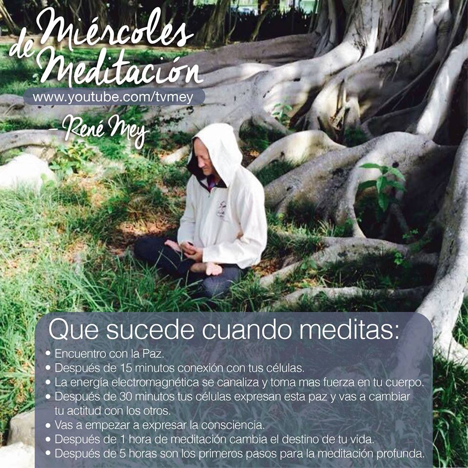Meditacion Rene Mey