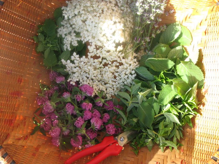 flower basket