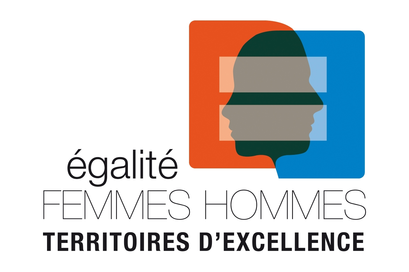 Logo Territoires d'excellence pour l'égalité professionnelle