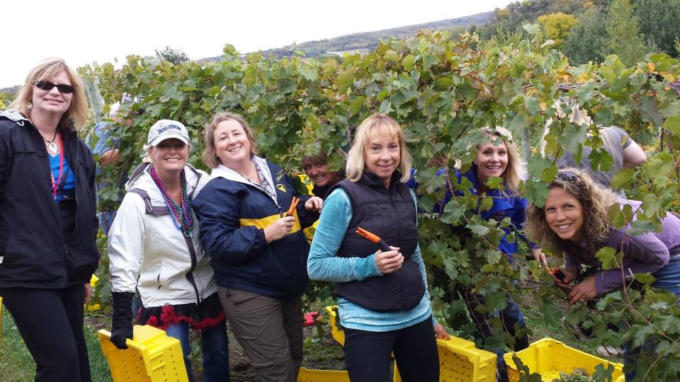 Cannon River Winery Fall Harvest