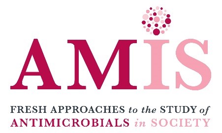 AMIS Logo