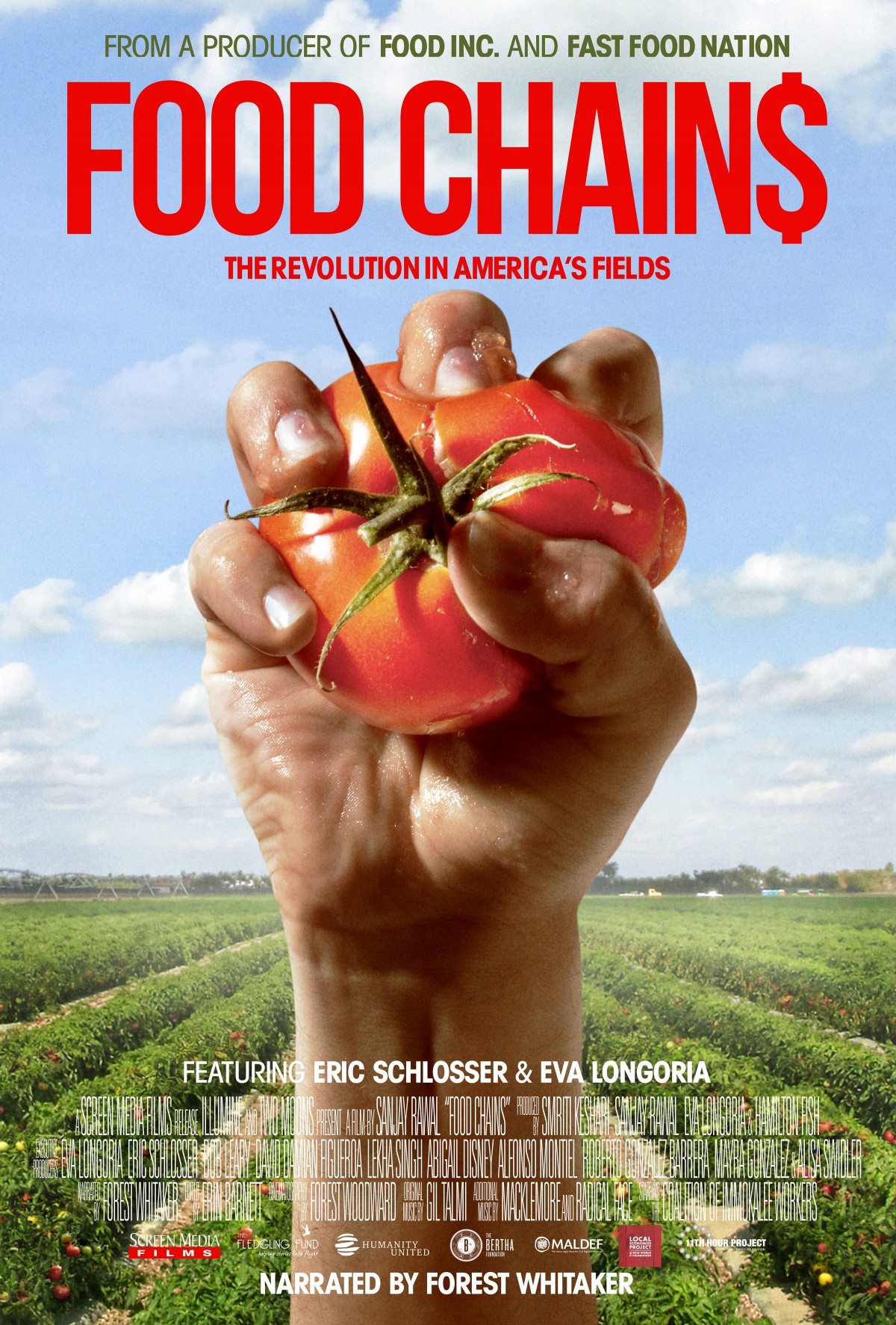 Food Chains Film