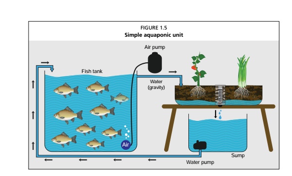 Upcycled Aquaponics Tickets, Sat, Apr 11, 2015 at 9:00 AM Eventbrite