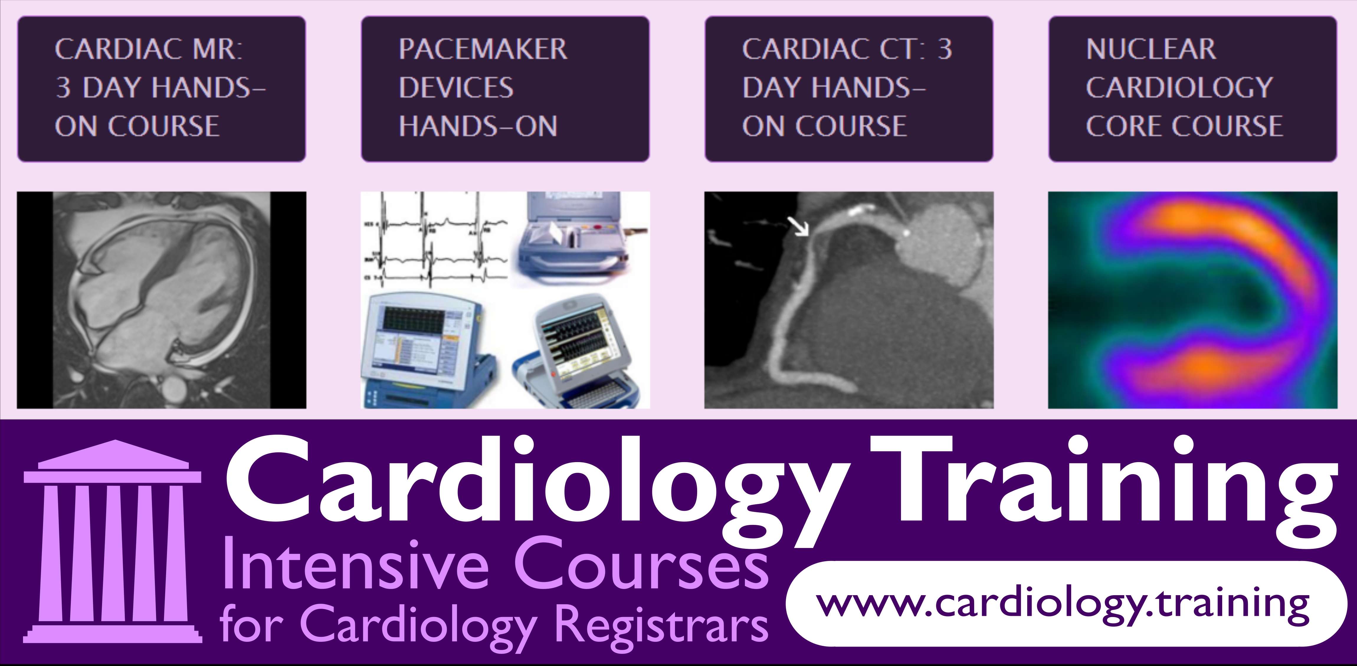 Cardiac CT 3day Handson Level 1 Course (1820 April 2018