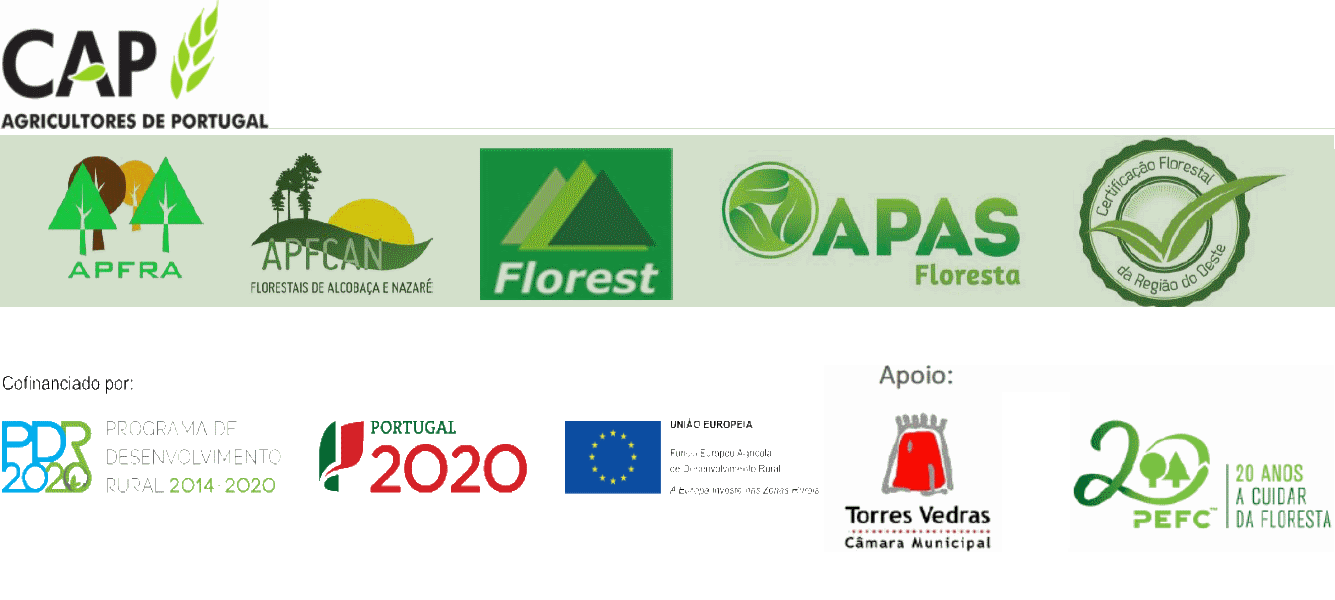 Logo-DesFlorestalRegOeste2