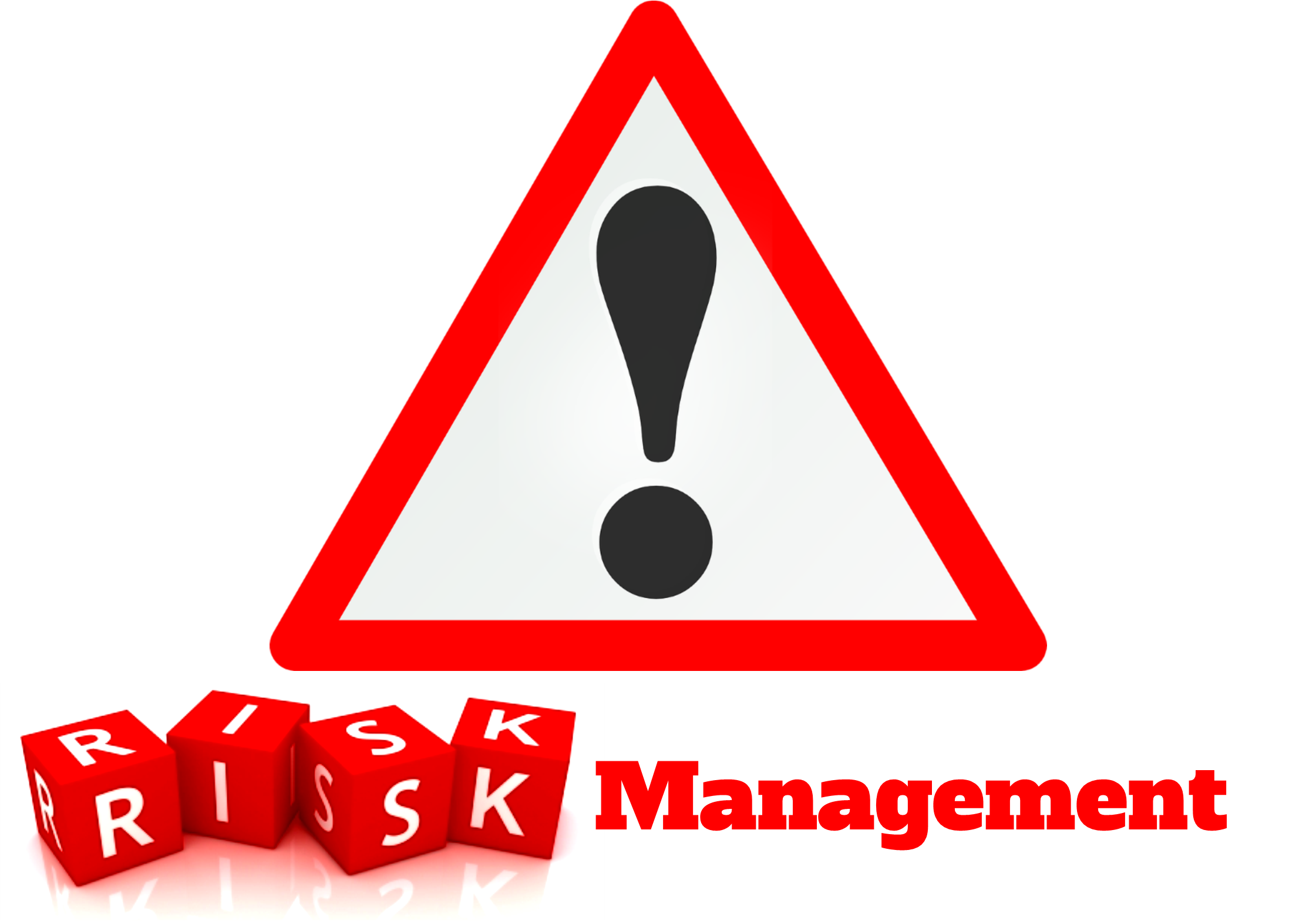 Risk Management Logo