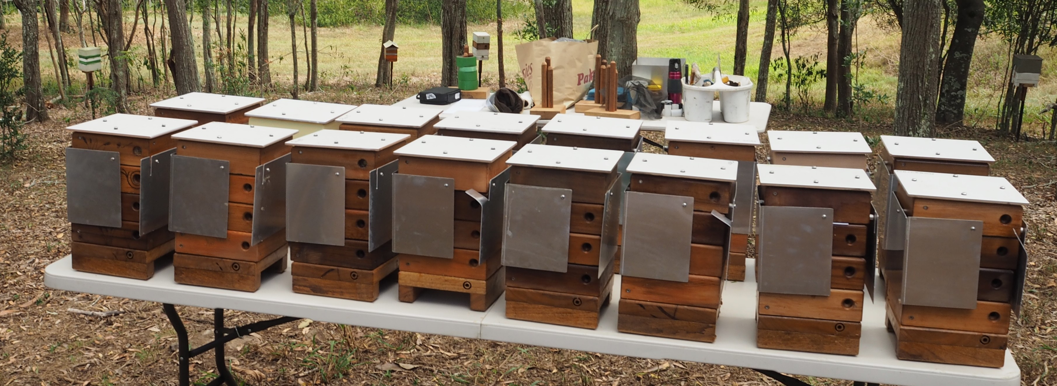 Build an Australian Stingless Bee Hive: $200 + $345 