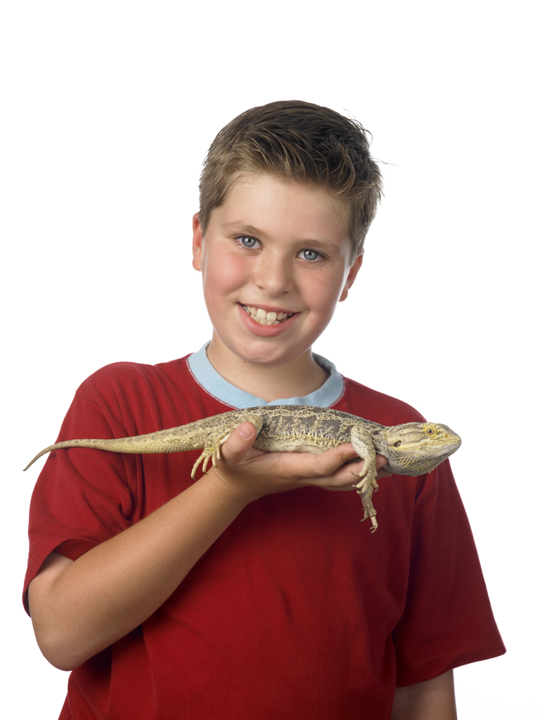 Holding Bearded Dragon