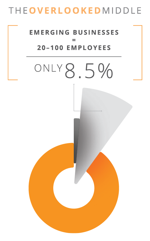 8% Pie Chart