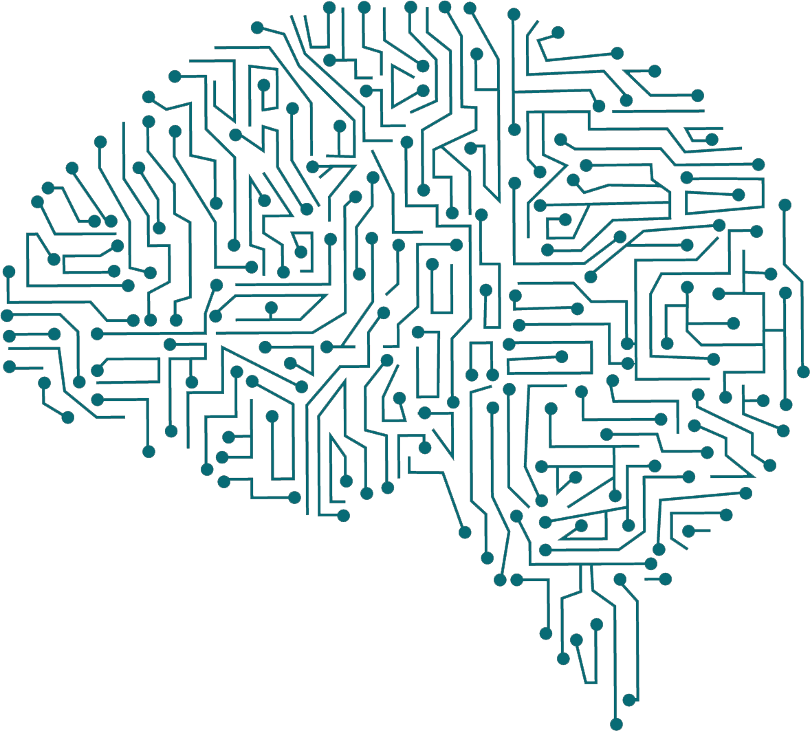 brain circuits