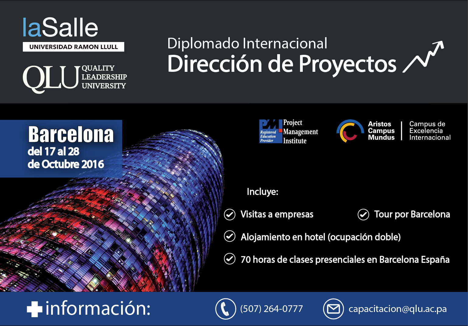 Diplomado Internacional en Dirección de Proyectos