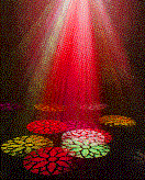 anim,ated dance floor