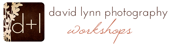 David Lynn Workshops logo