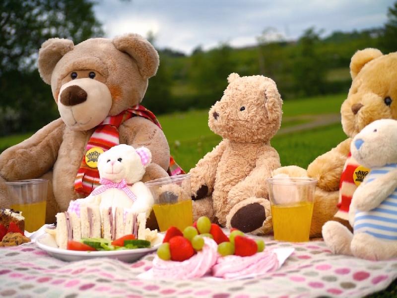 Seputarberitaduniakita: Teddy Bear Picnic Day