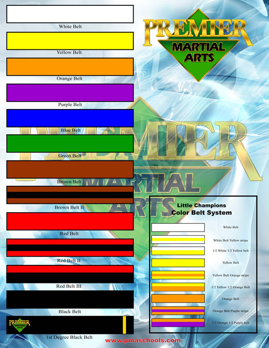 Premier Martial Arts December Adult Graduation Sign Up Northshore