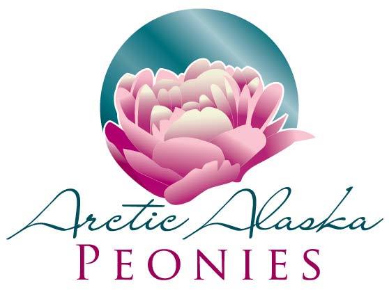 Arctic Alaska Peonies