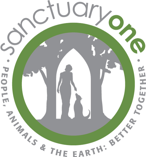 Sanctuary One logo