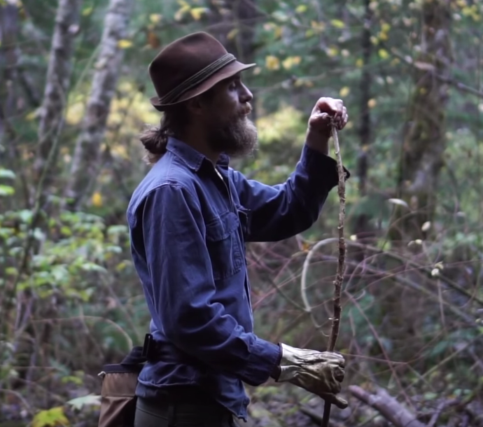 Herbalist Yarrow Willard