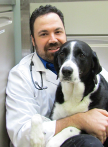 Michael Siegel Associate Veterinarian