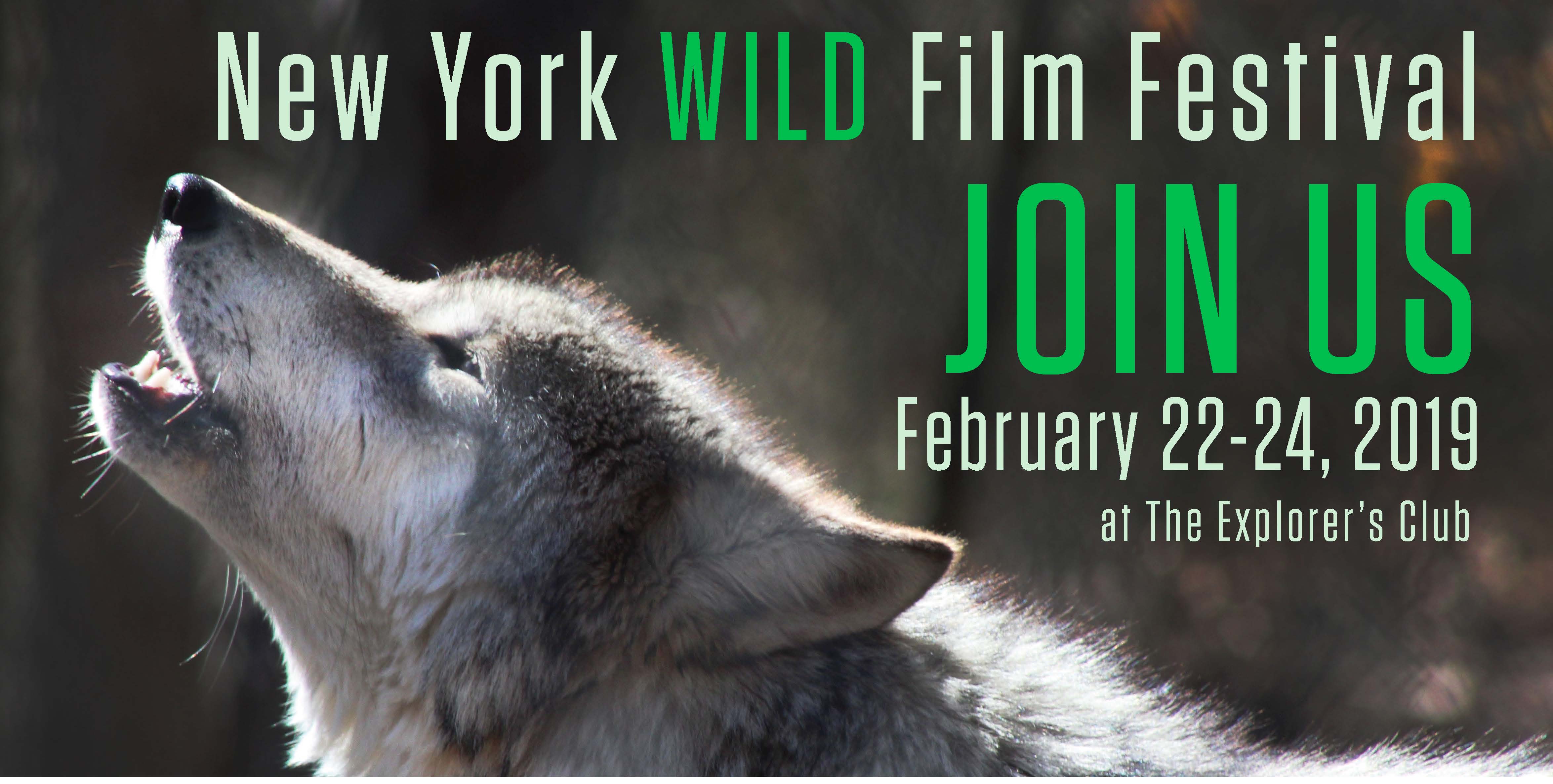 Image result for New York Wild Film FestivalÂ 