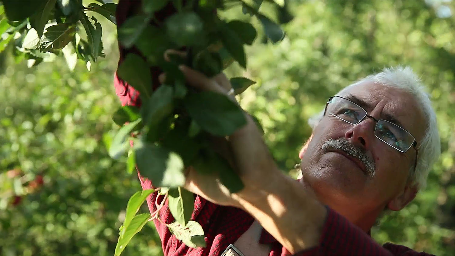 Stefan at home in his orchard