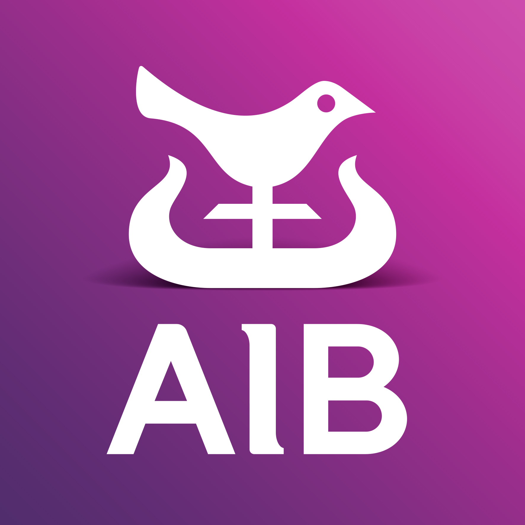 AIB SPONSORS OF LEADERS ON OUR LEVEL
