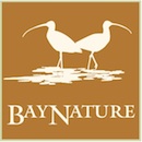 Bay Nature Magazine