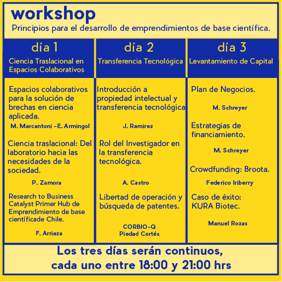 Programa workshop