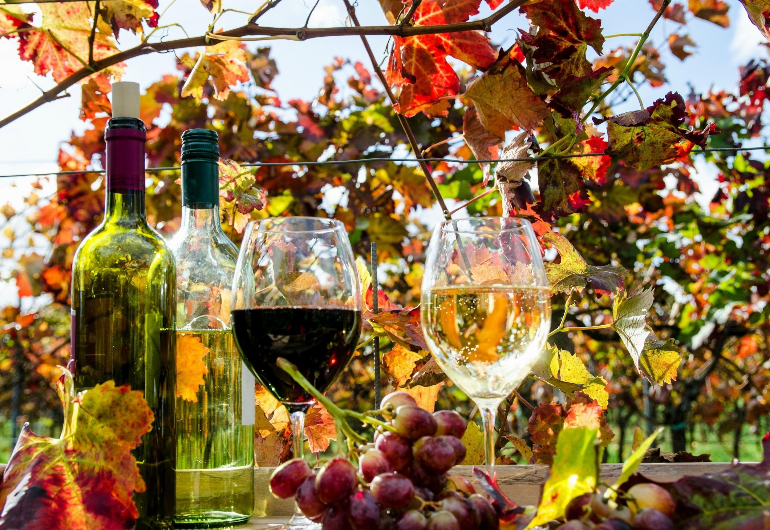 Fall Wine Mixer Tickets, Fri, Nov 13, 2015 at 800 PM Eventbrite