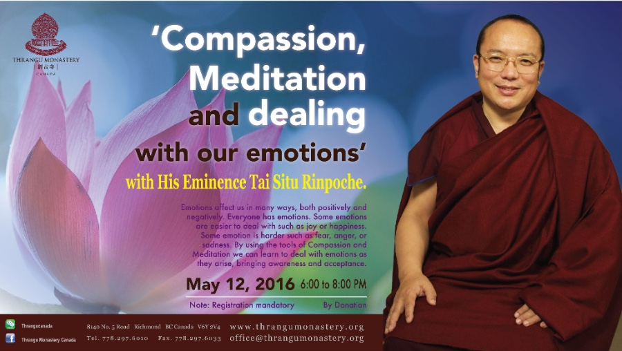 emotions with his eminence tai situ rinpoche 尊贵的大司徒仁波切