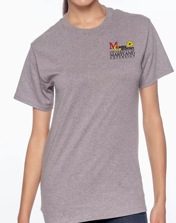 Grey Hanes T-Shirt