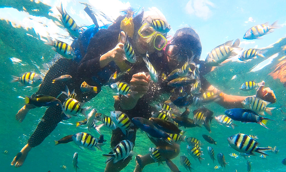Snorkeling di Pulau Harapan