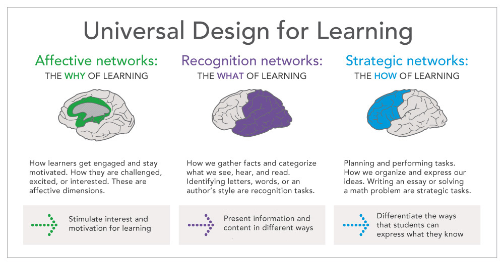 UDL Guidelines graphic organizer