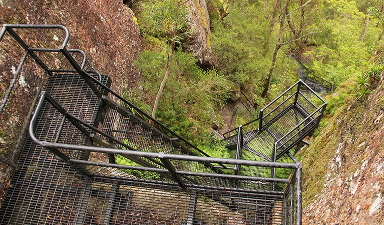 NSWNP Photo: Pigeon House Ladders