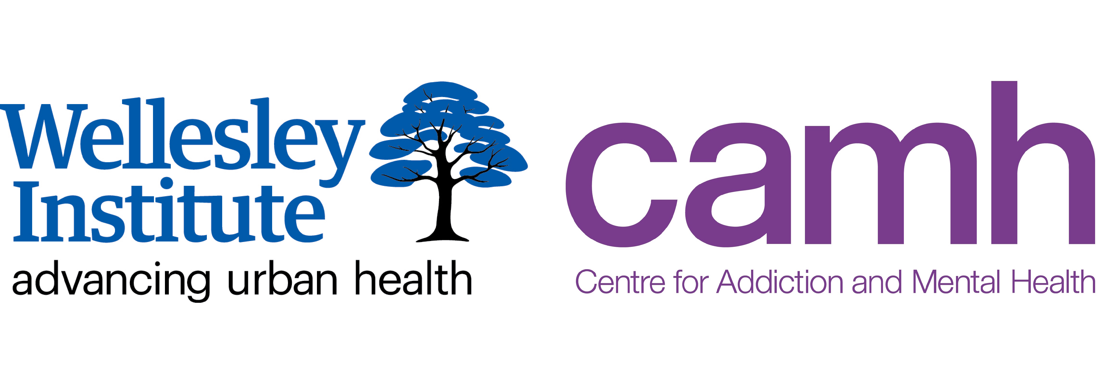 WI and CAMH logos