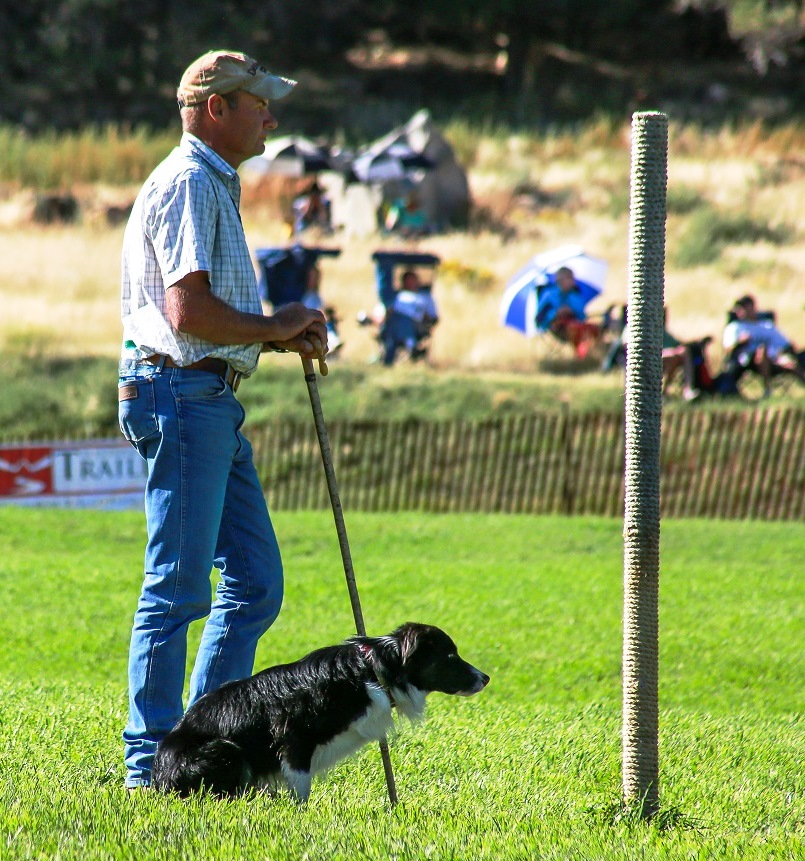 2020 Meeker Classic Sheepdog Championship Trials Tickets, Wed, Sep 9