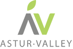 Asociación Asturiana de StartUps