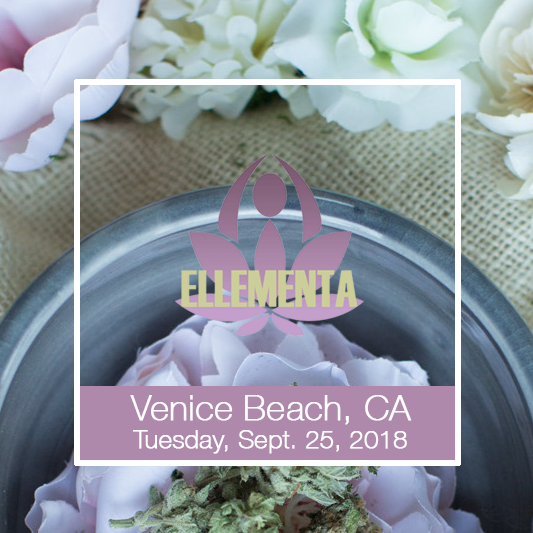 Venice Beach Sept SQ