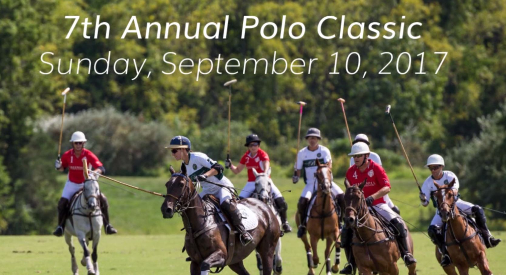 Polo Classic Banner