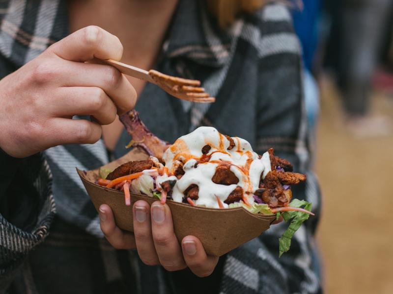 hands holding vegan kebab loaded fries Dublin Vegfest