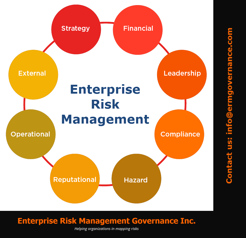 Simple Tools and Techniques for Enterprise Risk Management Epub-Ebook