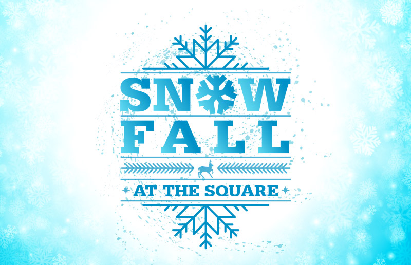 Snowfall at the Square Andyrooniverse