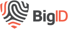 Big ID logo