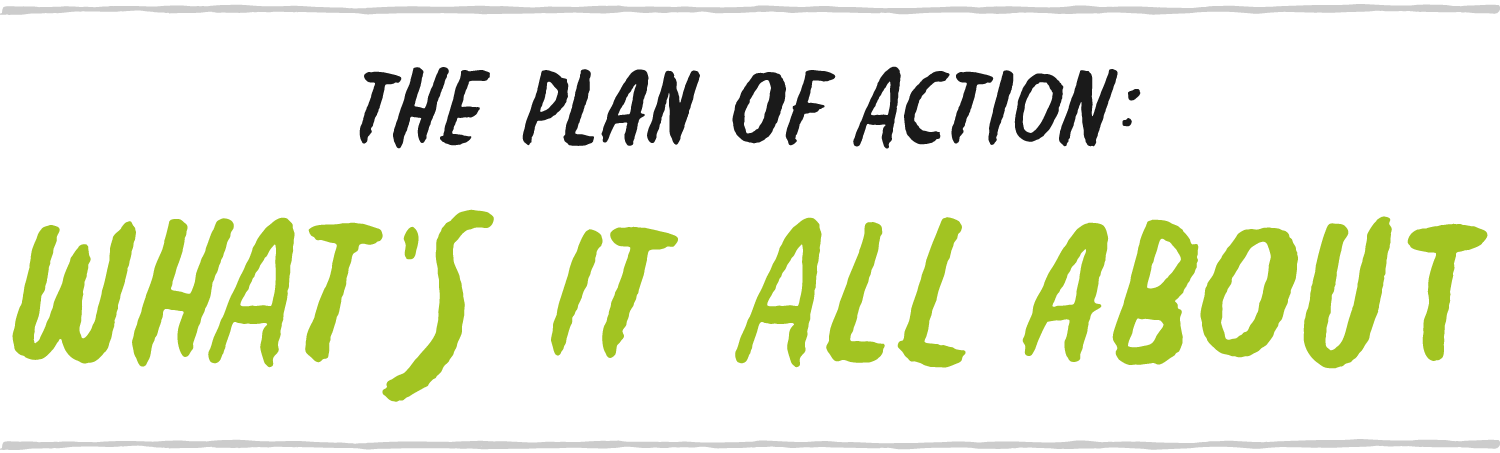 The Plan of Action: What It's All About