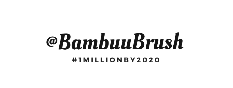 BambuuBrush