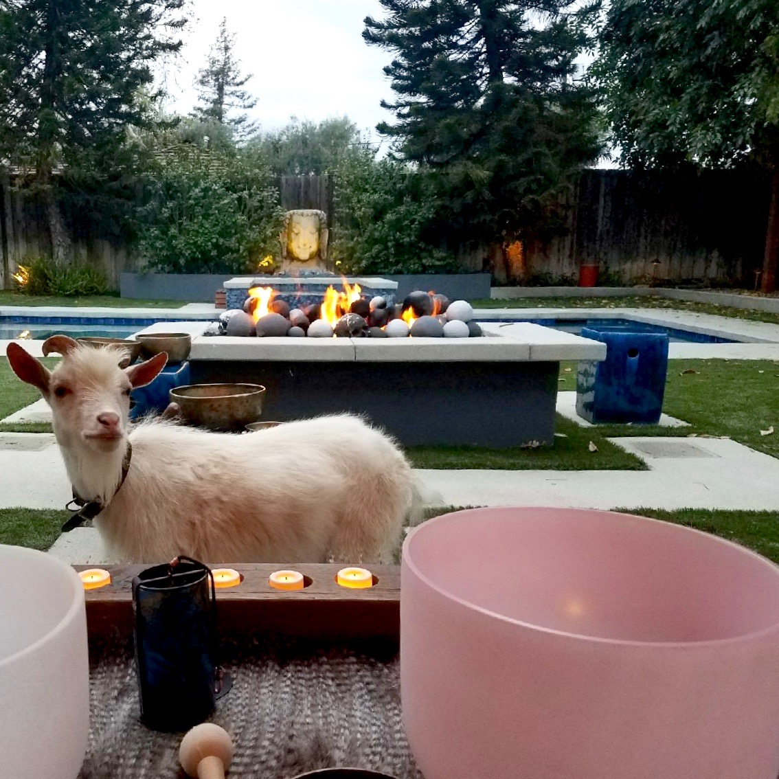 floyd bowls fire