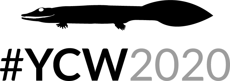 YCW2020 logo