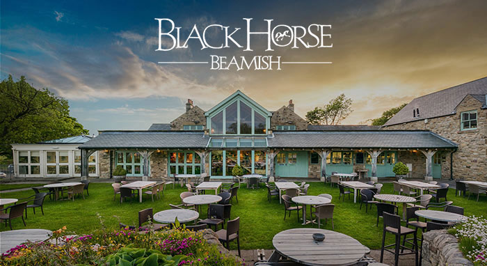 Black Horse Beamish