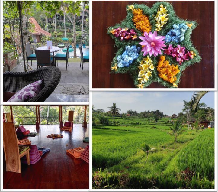 Living the Law of Attraction Retreat Bali